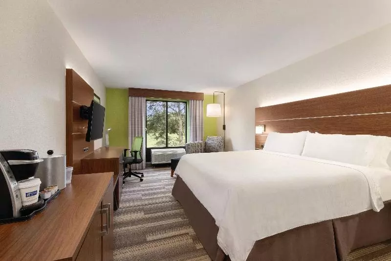 キングサイズベッドのスタンダードルーム, Holiday Inn Express Hotel & Suites Lavonia, An Ihg