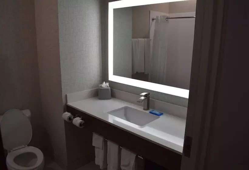 スイート, Holiday Inn Express Hotel & Suites Mcpherson, An Ihg