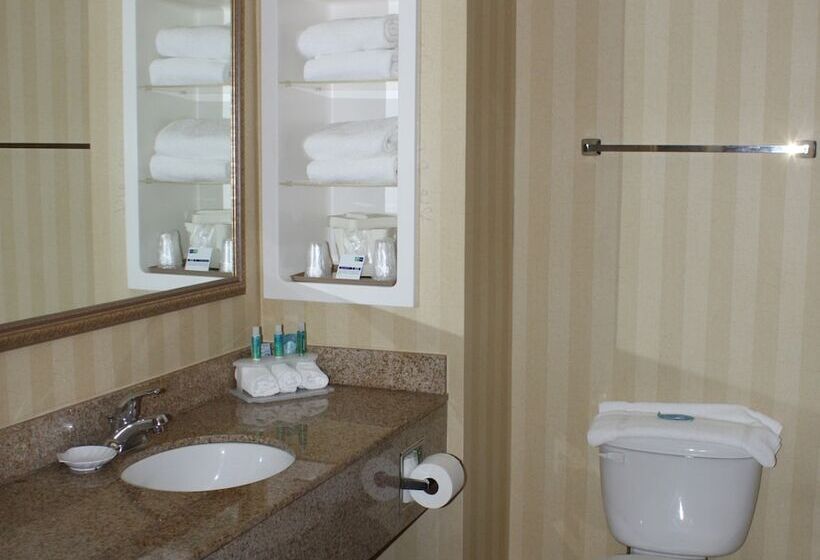 Suite, Holiday Inn Express & Suites Spring Hill, An Ihg