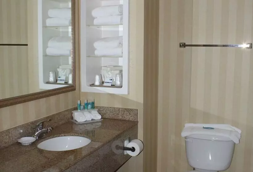 スイート, Holiday Inn Express & Suites Spring Hill, An Ihg