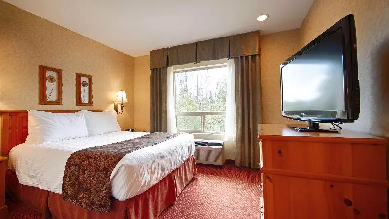 身障者適用キングサイズベッドルーム, Holiday Inn Express & Suites Spring Hill, An Ihg