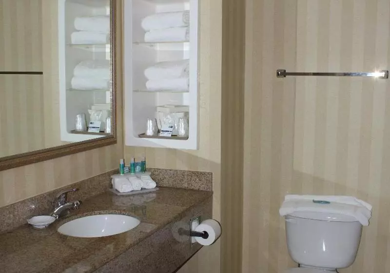 スタンダードルーム, Holiday Inn Express & Suites Spring Hill, An Ihg