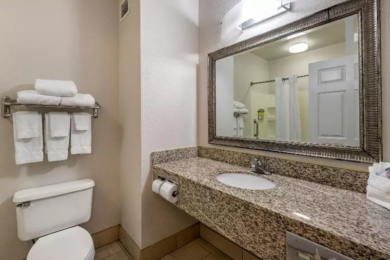 キングサイズベッドのスタンダードルーム, Holiday Inn Express Hotel & Suites   The Villages, An Ihg