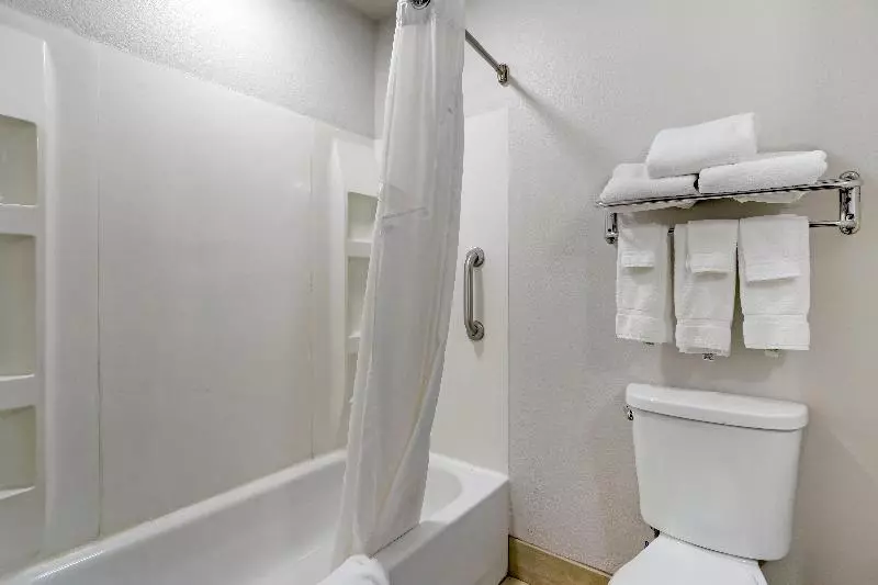 キングサイズベッドのスタンダードルーム, Holiday Inn Express Hotel & Suites   The Villages, An Ihg
