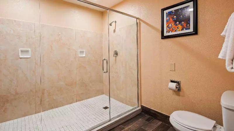 スタンダードルーム, Holiday Inn Express Hotel & Suites   The Villages, An Ihg