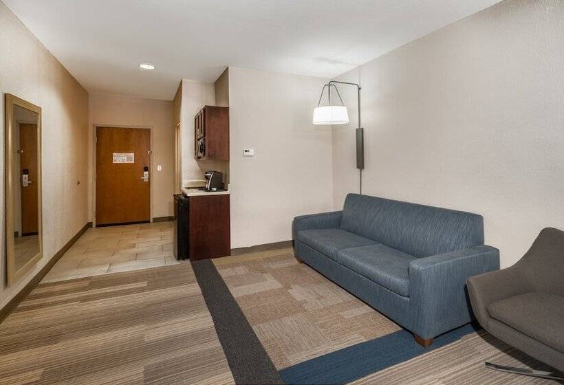 جناح لذوى الاحتياجات الخاصة, Holiday Inn Express Hotel & Suites Magee By Ihg