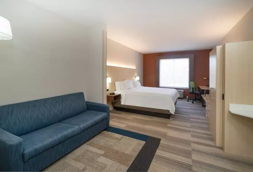 身障者適用スイートルーム, Holiday Inn Express Hotel & Suites Magee By Ihg