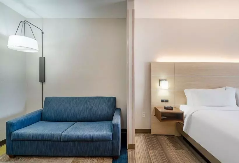身障者適用スイートルーム, Holiday Inn Express Hotel & Suites Magee By Ihg