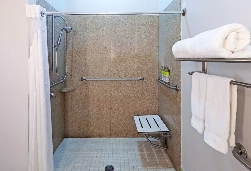 スタンダードルーム, Holiday Inn Express Hotel And Suites Shreveport South Park Plaza, An Ihg