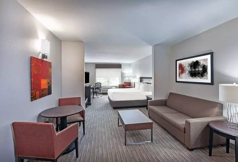 スイート, Holiday Inn Express Hotel And Suites Shreveport South Park Plaza, An Ihg