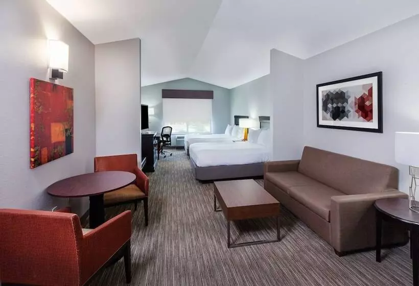 スイート, Holiday Inn Express Hotel And Suites Shreveport South Park Plaza, An Ihg