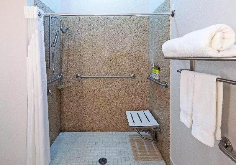 キングサイズベッドのスタンダードルーム, Holiday Inn Express Hotel And Suites Shreveport South Park Plaza, An Ihg