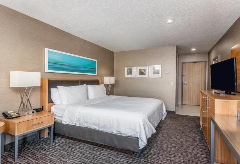 장애인을 위한 킹사이즈 침대 스탠다드 룸, Holiday Inn Express Annapolis East Kent Island, An Ihg