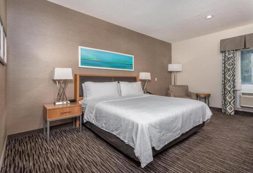 Номер Стандарт Кровать Кинг Адаптированный для Инвалидов, Holiday Inn Express Annapolis East Kent Island, An Ihg