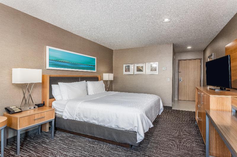 스탠다드 룸 킹사이즈 침대, Holiday Inn Express Annapolis East Kent Island, An Ihg