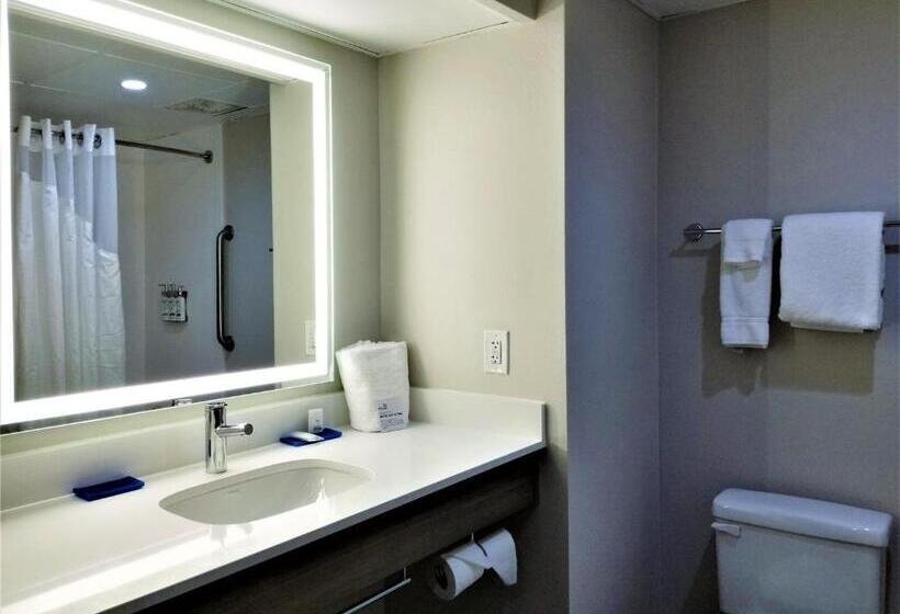 اتاق استاندارد با تخت بزرگ, Holiday Inn Express Apex Raleigh, An Ihg