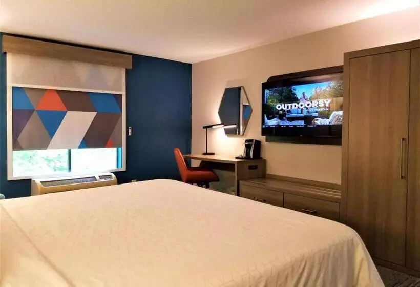 身障者適用キングサイズベッドルーム, Holiday Inn Express Apex   Raleigh, An Ihg