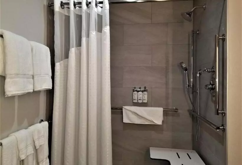 身障者適用キングサイズベッドルーム, Holiday Inn Express Apex   Raleigh, An Ihg