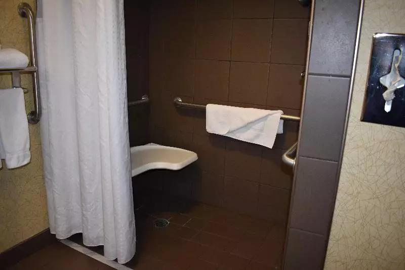 キングサイズベッドのスタンダードルーム, Holiday Inn Express Apex   Raleigh, An Ihg