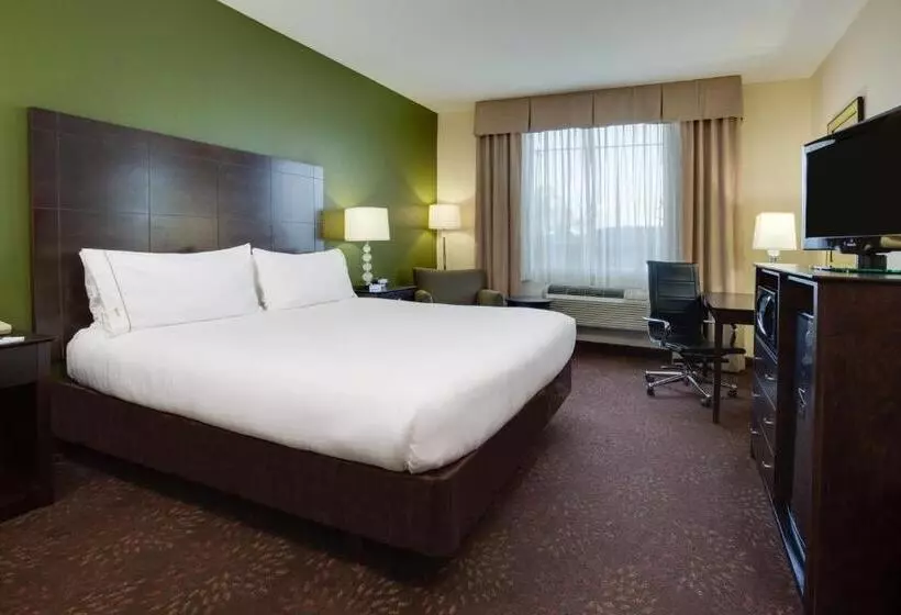 キングサイズベッドのスタンダードルーム, Holiday Inn Express Harvey Marrero, An Ihg