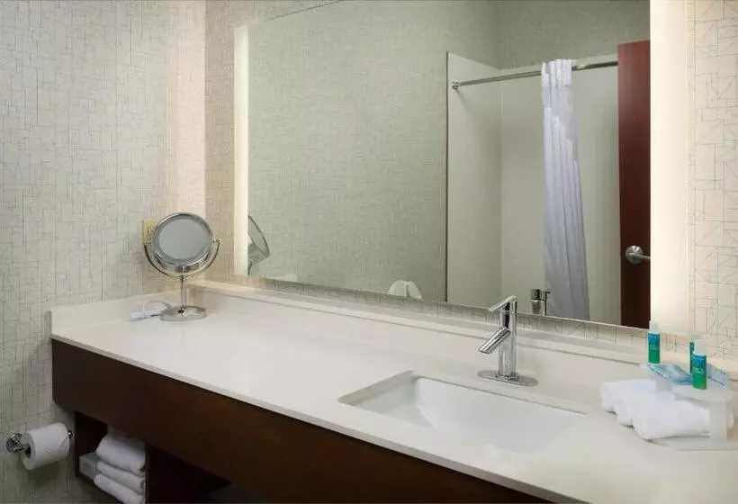 キングサイズベッドのスタンダードルーム, Holiday Inn Express Independence   Kansas City, An Ihg