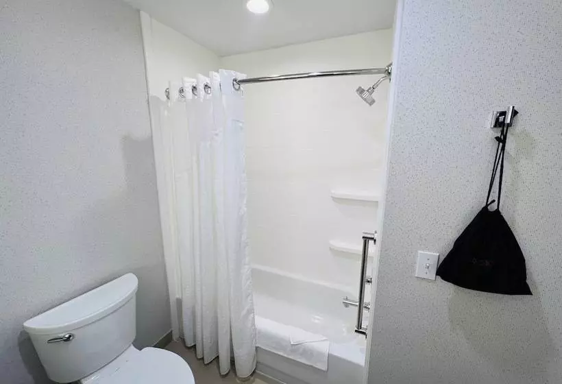 スタンダードルーム, Holiday Inn Express & Suites Salinas, An Ihg