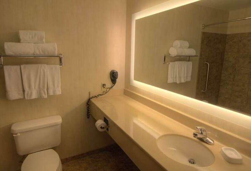 스위트, Holiday Inn Express & Suites Sioux Center, An Ihg