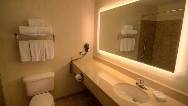 キングサイズベッドのスイートルーム, Holiday Inn Express & Suites Sioux Center, An Ihg