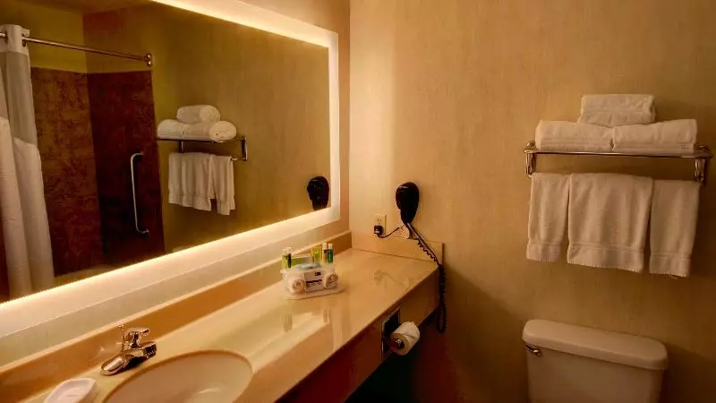キングサイズベッドのエクゼクティブルーム, Holiday Inn Express & Suites Sioux Center, An Ihg