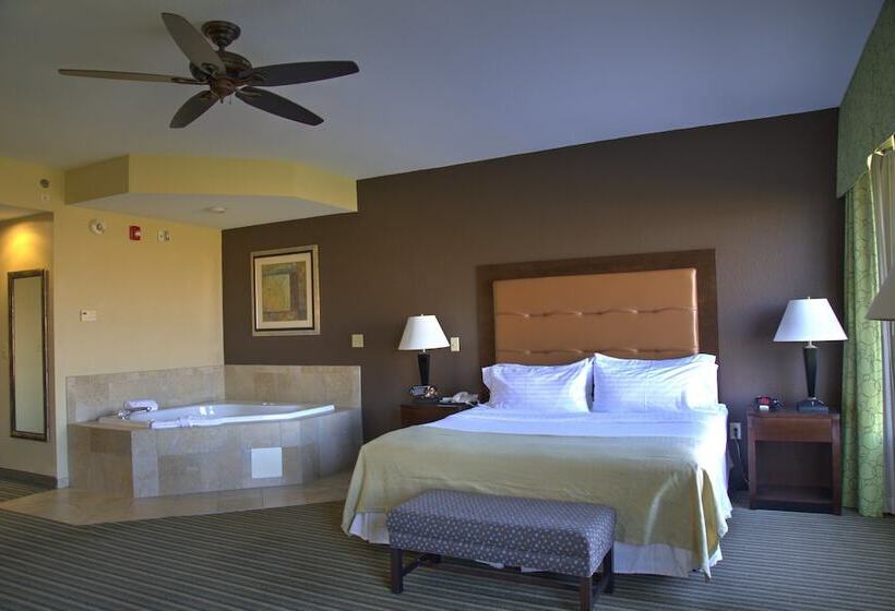 غرفة قياسية, Holiday Inn Pearl   Jackson Area, An Ihg