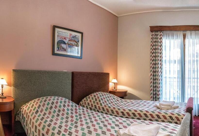 اتاق استاندارد با چشم‌انداز شهر, City Hotel Apollonion