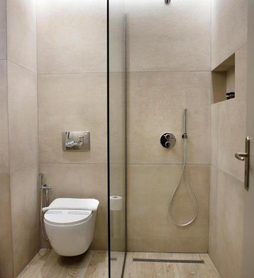 اتاق استاندارد, Anesis