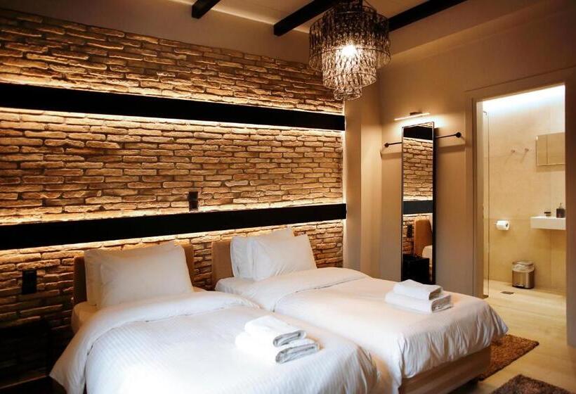 اتاق استاندارد, Anesis