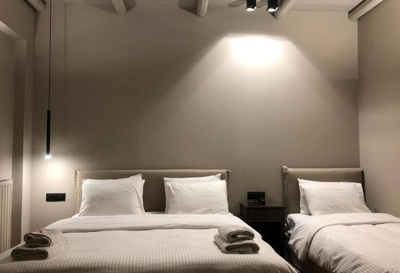 اتاق استاندارد سه نفره, Anesis