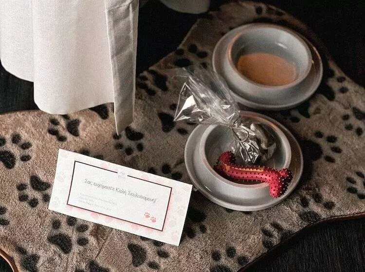 アウトサイドクラシックルーム, Dion Palace Resort And Spa