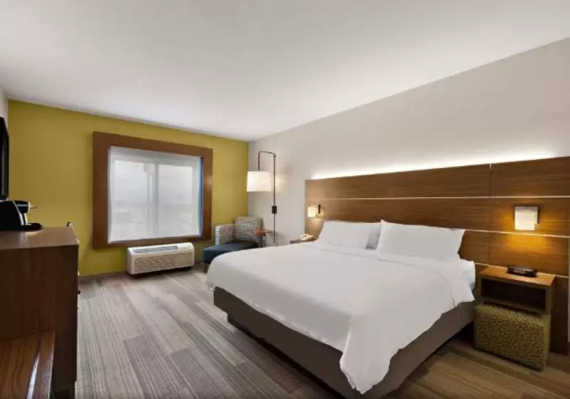 身障者適用キングサイズベッドルーム, Holiday Inn Express Hotel & Suites Limon I 70/exit 359, An Ihg