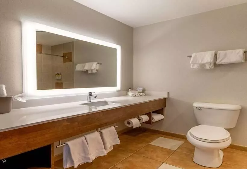 スイート, Holiday Inn Express Hotel & Suites Limon I 70/exit 359, An Ihg