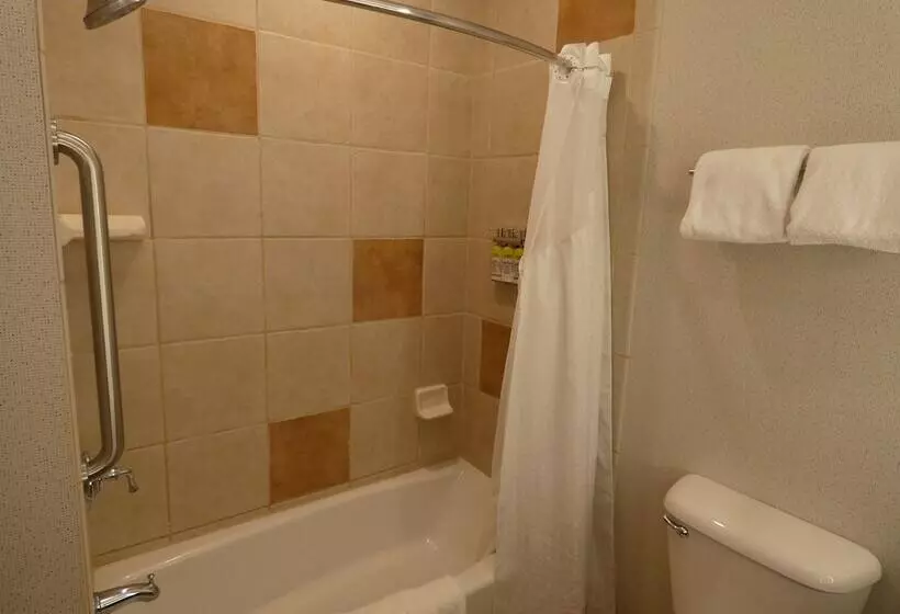 スタンダードルーム, Holiday Inn Express Hotel & Suites Limon I 70/exit 359, An Ihg