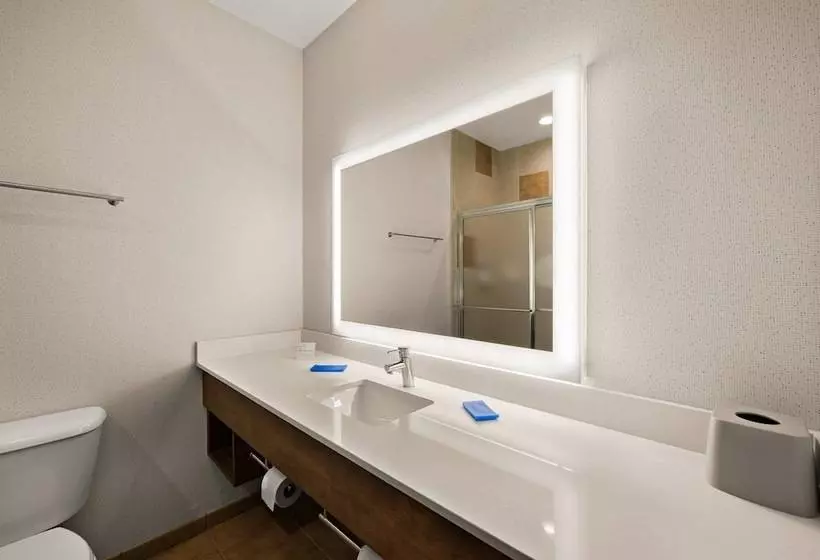 身障者適用スイートルーム, Holiday Inn Express Hotel & Suites Limon I 70/exit 359, An Ihg