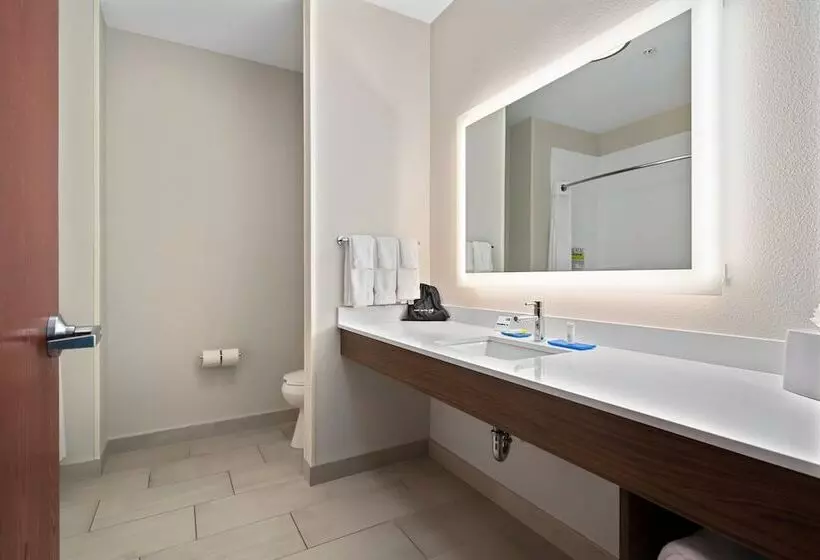 スイート, Holiday Inn Express Suites Van Buren Ft Smith Area, An Ihg