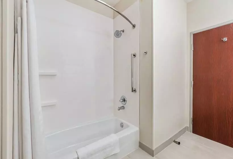 スイート, Holiday Inn Express Suites Van Buren Ft Smith Area, An Ihg
