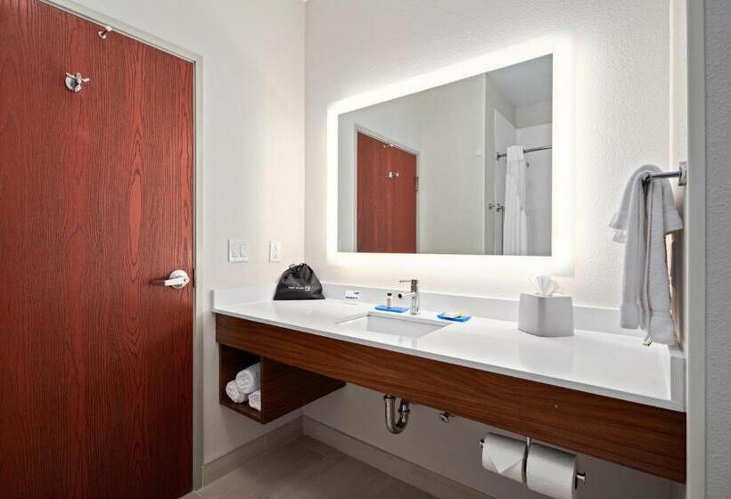 غرفة قياسية سرير كينج, Holiday Inn Express Suites Van Buren Ft Smith Area, An Ihg