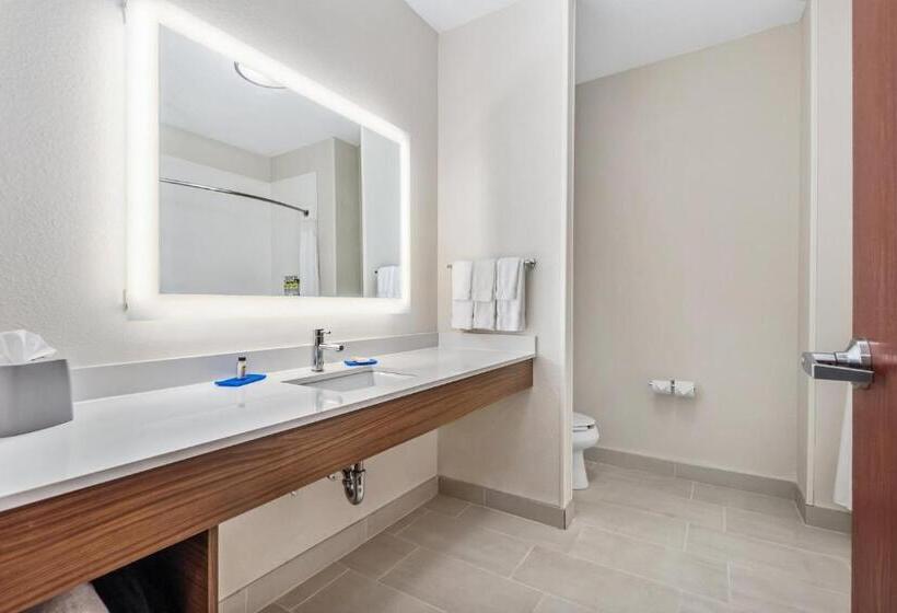 Люкс Кровать Кинг, Holiday Inn Express Suites Van Buren Ft Smith Area, An Ihg