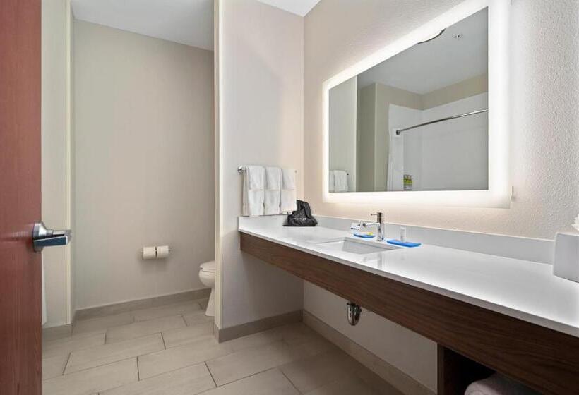 带大床的套房, Holiday Inn Express Suites Van Buren Ft Smith Area, An Ihg