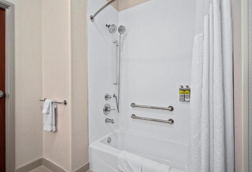 Номер Стандарт Кровать Кинг Адаптированный для Инвалидов, Holiday Inn Express Suites Van Buren Ft Smith Area, An Ihg