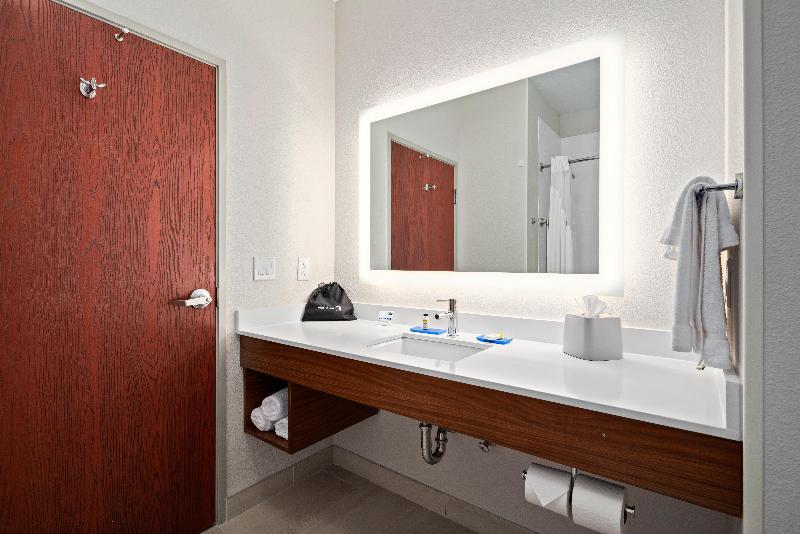 جناح سرير كينج, Holiday Inn Express Suites Van Buren Ft Smith Area, An Ihg