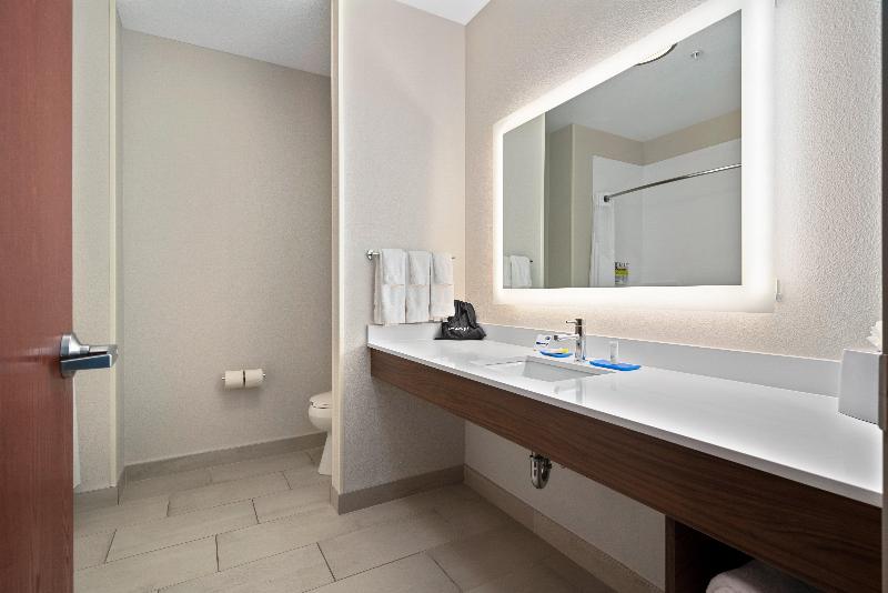 غرفة قياسية سرير كينج لذوى الإحتياجات الخاصة, Holiday Inn Express Suites Van Buren Ft Smith Area, An Ihg