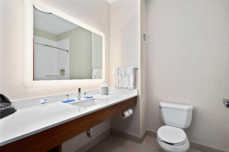 غرفة قياسية لذوى الاحتياجات الخاصة, Holiday Inn Express Suites Van Buren Ft Smith Area, An Ihg