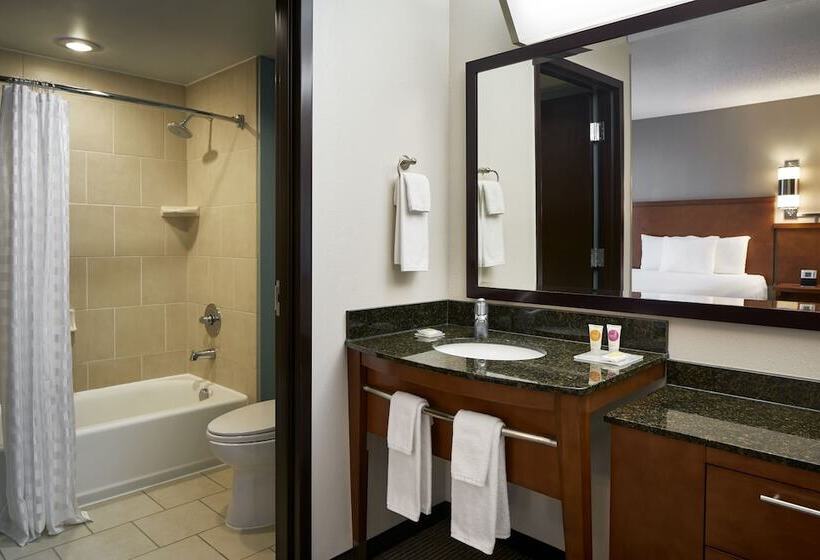 Номер Стандарт 2 Двуспальные Кровати, Hyatt Place Richmond Airport