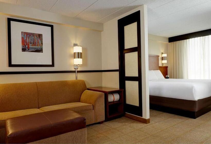 اتاق استاندارد با تخت بزرگ, Hyatt Place Richmond Airport
